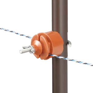 dq dC Qb^[VXep SKCVE (100) [d dCq hbptFX]