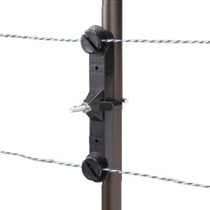 dq dC Qb^[VXep WKCVE (100) [d dCq hbptFX]