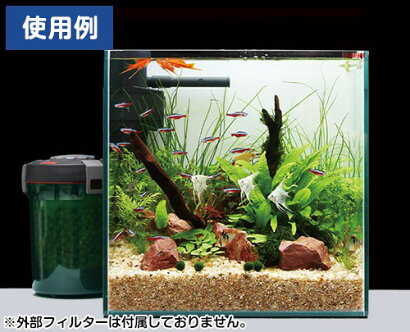 楽天市場 取扱終了 エーハイム Eheim オールガラス水槽 Ej 30 Cube A 幅30cm 奥行30cm 高さ30cm ミナト電機工業