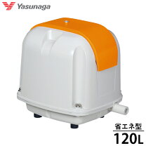 楽天市場】安永ダイヤフラム式補修部品／lp80－120の通販