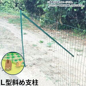 VZC Aj}K[htFXpL^΂ߎx 1.8m×6{ (plWt) [|p hb   K hb]