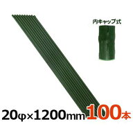 シンセイ 園芸支柱 イボ付/内キャップ式 20Φ×1200mm×100本セット [20mm 120cm 1.2m 鋼管ポール 農竹 …