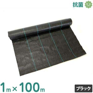 VZC hV[g 1m×100m ubN (hJrdl/Rۍܓ) [ 悯V[g Gh~V[g]