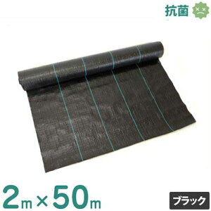 VZC hV[g 2m×50m ubN (hJrdl/Rۍܓ) [ 悯V[g Gh~V[g]