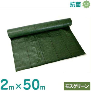 VZC hV[g 2m×50m XO[ (hJrdl/Rۍܓ) [ 悯V[g Gh~V[g]