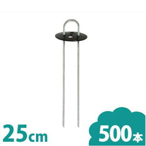 VZC hV[gp wAsY 25cm 500{Zbg (ەt/U^) [}Y s R^s Us V[g hV[gs]