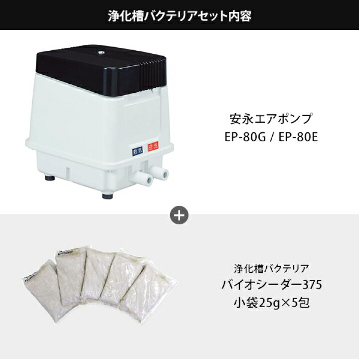 楽天市場】安永エアポンプ エアーポンプ EP-80G 逆洗タイマー付 省エネ 
