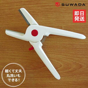 y[ցzzKc쏊 I̔ނ IVII [ނ ނ SUWADA X_]