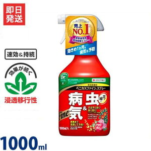 ZFw| |p EEۍ xjJXt@CXv[ 1000ml [Q h E]