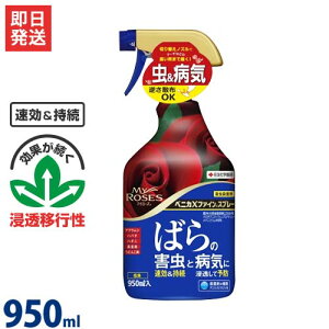 ZFw| |p EEۍ }C[Y xjJXt@CXv[ 950ml [Q h E]