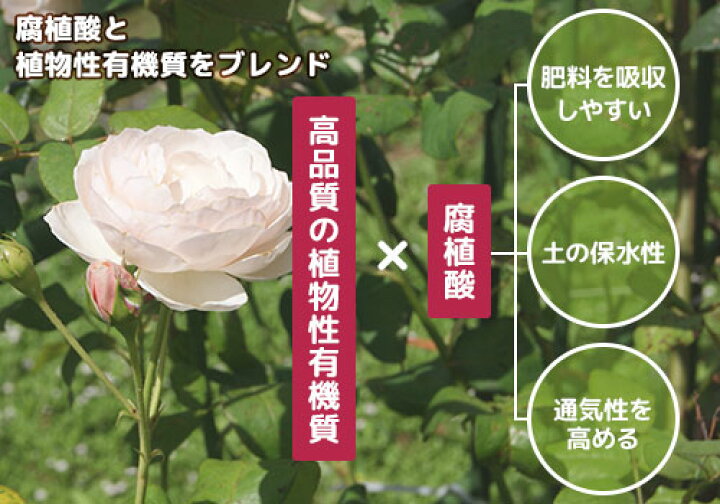 楽天市場 住友化学園芸 ばらの肥料 マイローズ 1 6kg 元肥 追肥 ミナト電機工業