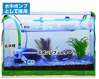 楽天市場 エーハイム 水陸両用ポンプ 1262 流量3400l H 淡水 海水両用 Eheim ミナト電機工業