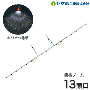 }z pXeXpCv ȈՃu[ LiV13 [ @]