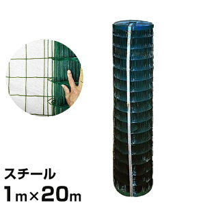 Nh~p hbtFX 1m×20m [hbO]