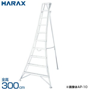 nbNX AXebv A~Orr Lk̓^Cv AP-10 (S300cm)