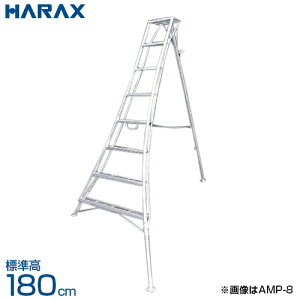 nbNX AXebv A~Orr vp s3{Lk^Cv AMP-6 (S180cm)