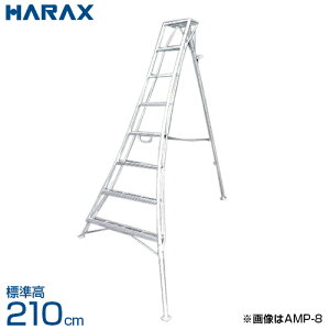 nbNX AXebv A~Orr vp s3{Lk^Cv AMP-7 (S210cm)