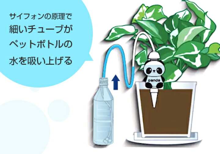 楽天市場 マルハチ 自動給水器 水やり当番 パンダちゃん 10個セット マルハチ産業 ダリヤ 水遣り ミナト電機工業