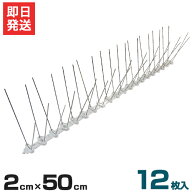 鳥よけシート スリムタイプ 幅2cm×長さ50cm 12枚入り (ステンレスピン/連結可能) [第一ビニール 鳥避け…