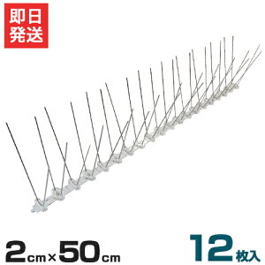 悯V[g X^Cv 2cm×50cm 12 (XeXs/A\) [rj[ ΍V[g hpi]