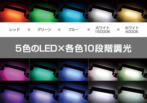 楽天市場】ゼンスイ LEDライト 60cm水槽用 マルチカラーLED 600