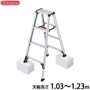 JH A~r ry Lk^Cv RZS-12a (V1.03`1.22m) [͂ Or]