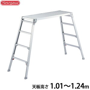 JH A~ DRSW-1200c (V1.01`1.24m) [͂ Or]