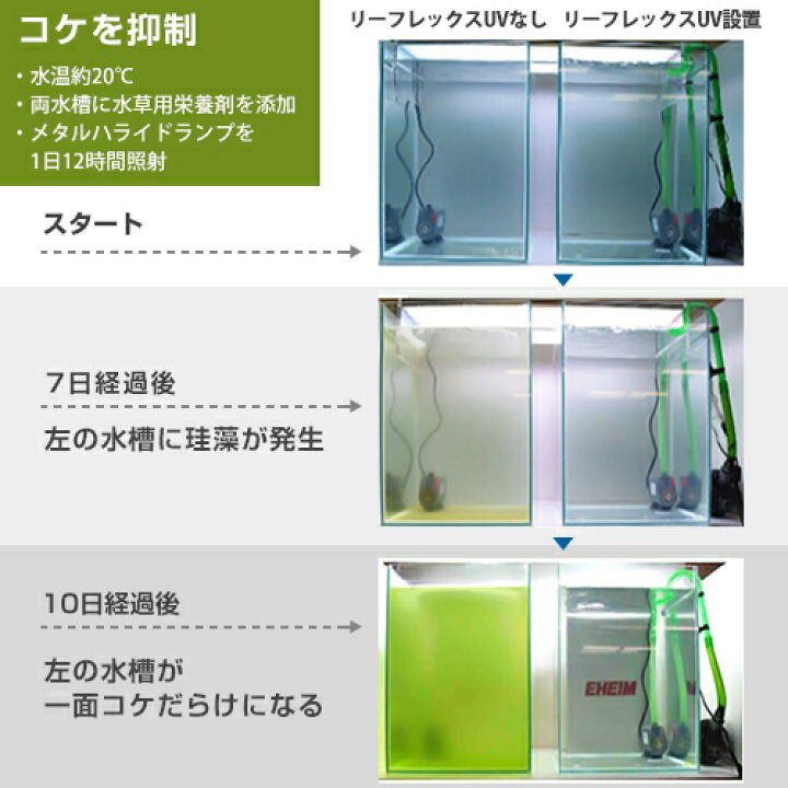 楽天市場】エーハイム リーフレックスUV殺菌灯 800 (適合水量400〜800L 