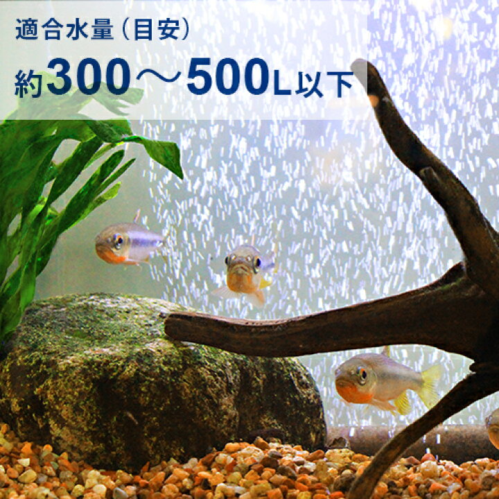 楽天市場】エーハイム リーフレックスUV殺菌灯 500 (適合水量300〜500L 
