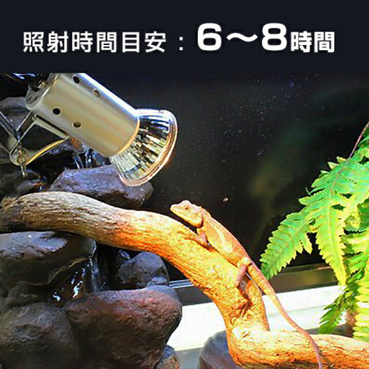 楽天市場】マイクロサン 53W＋マイクロン クリップスタンドセット 