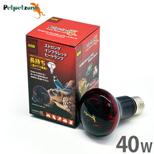 XgO Ctbhq[gv 40W (錓p ԊOۉ) [[XC Ɩ ঒  ybgybg][]