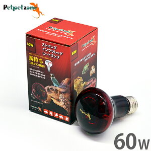 XgO Ctbhq[gv 60W (錓p ԊOۉ) [[XC Ɩ ঒  ybgybg][]