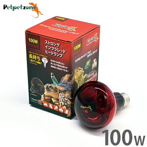 XgO Ctbhq[gv 100W (錓p ԊOۉ) [[XC Ɩ ঒  ybgybg][]