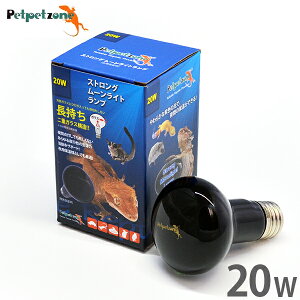 XgO [Cgv 20W (p ۉ) [[XC Ɩ ঒  ybgybg][]