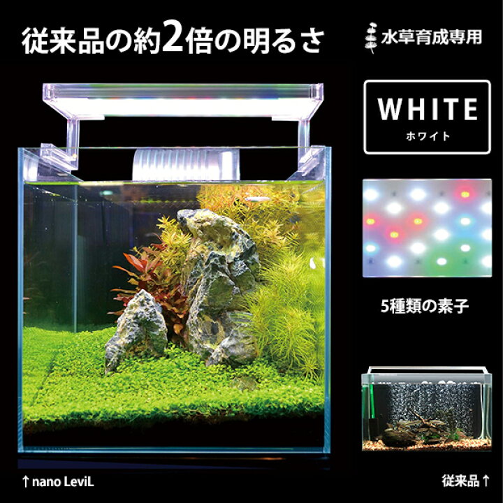 ランク 拘束 消防士 アクアリウム Led 水草 Tayoreru Gaiheki Com