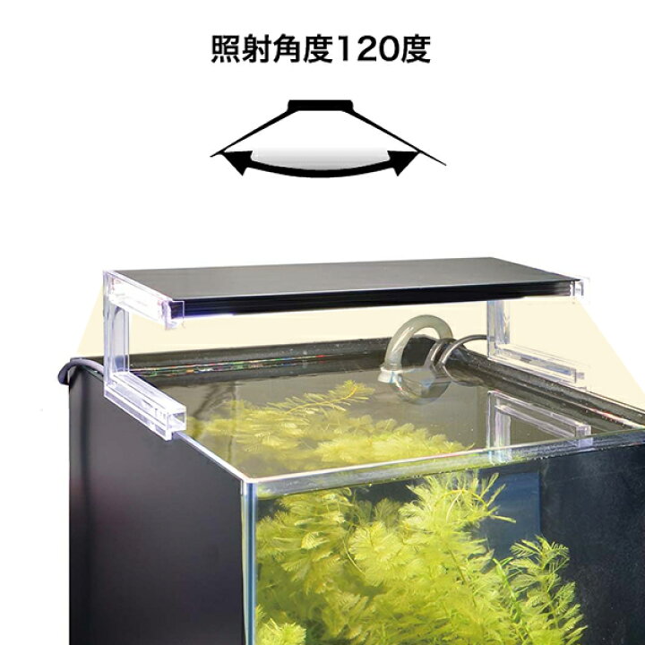 楽天市場】ゼンスイ 超薄型 LEDランプ 120cm水槽用 ホワイト nano 