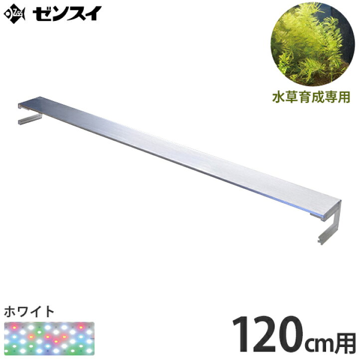 楽天市場】ゼンスイ 超薄型 LEDランプ 120cm水槽用 ホワイト nano 