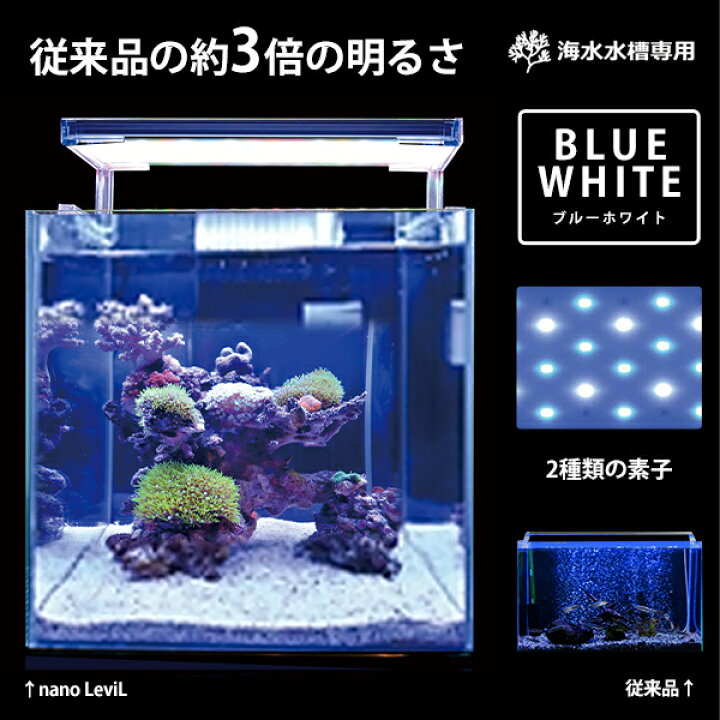 楽天市場 ゼンスイ 超薄型 Ledランプ 90cm水槽用 ブルーホワイト Nano Levil 900 海水用 ナノレビル Ledライト 照明 鑑賞魚 熱帯魚 青 ミナト電機工業