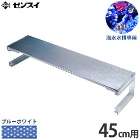 楽天市場 海水魚 Ledの通販
