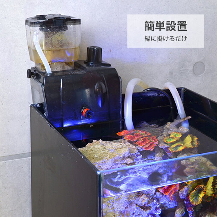 楽天市場】ゼンスイ 外掛式 プロテインスキマー QQ3 (水量300Lまで/DC 