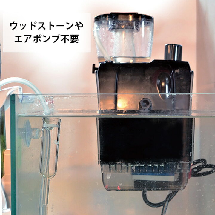 楽天市場】ゼンスイ 外掛式 プロテインスキマー QQ1 (水量100Lまで/DC 