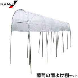 楽天市場 ぶどう 棚 雨よけの通販 楽天市場 ぶどう 棚 雨よけの通販