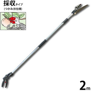 AX yʐLk} Y[`LGRm ̎^Cv 2m 160ZD-2.0-3D [ } nT~ ͂]