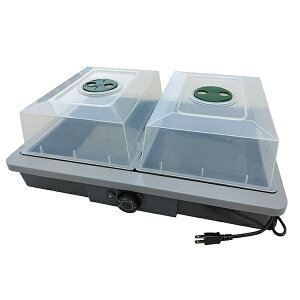 a@ cpq[^[ E؁E (EE) PG-10 T[X^bg