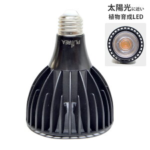 PLAAREA A琬 LEDCg EverSun 365 [[XC Go[TTNS[ v Ɩ ϗtA A k͔| eE]