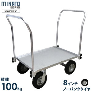 ~ig A~ MTA-100NWH nhdl (m[pN^C/Rei4p) [A~nEXJ[ ^ ReiJ[g ]