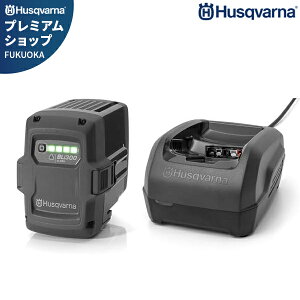 nXNo[i obe[ BLi300{}[d QC250Zbg[Husqvarna `ECIobe[]