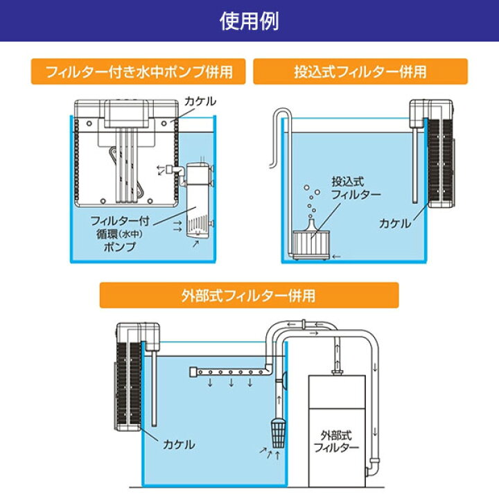 楽天市場】ゼンスイ 水槽用クーラー 外掛け ペルチェ式 KAKErU カケル 