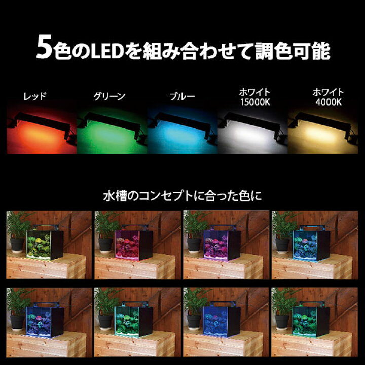 楽天市場】ゼンスイ LEDライト 30cm水槽用 マルチカラーLED II 300 