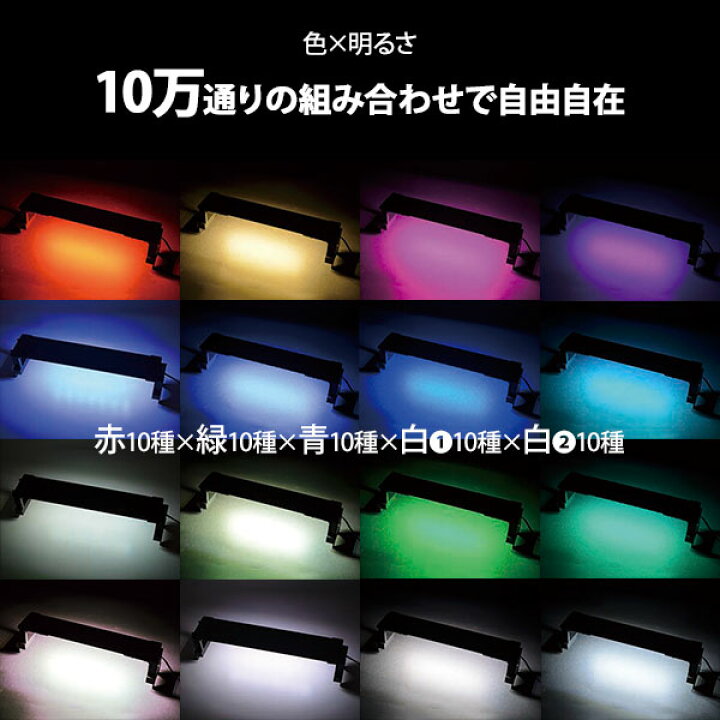 楽天市場】ゼンスイ LEDライト 30cm水槽用 マルチカラーLED II 300 